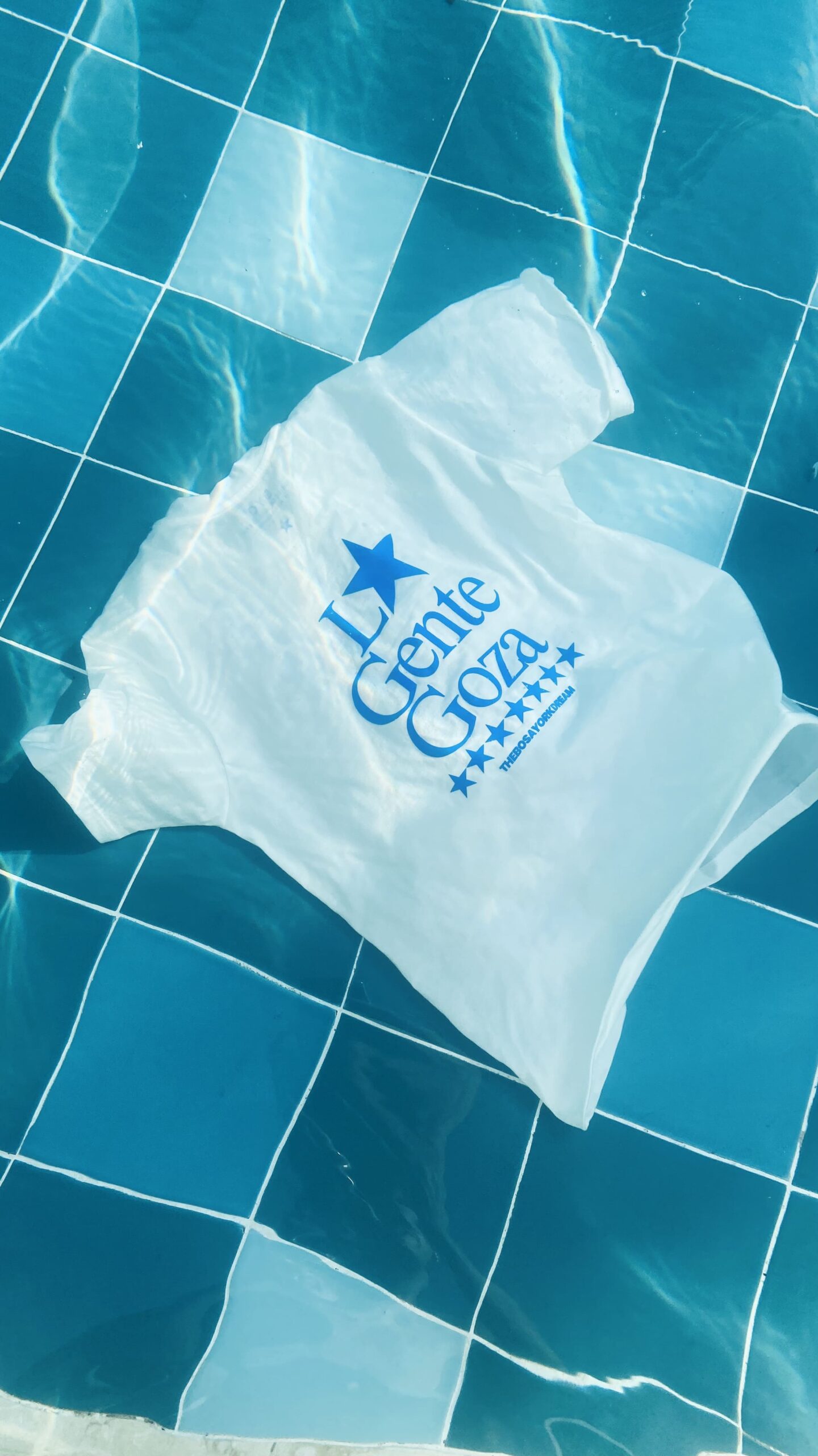 Camiseta- Lagentegoza3